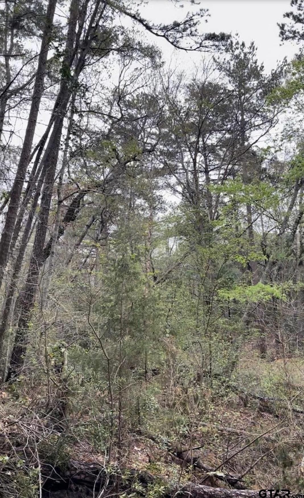 17.47 acres in Smith County - photo 8