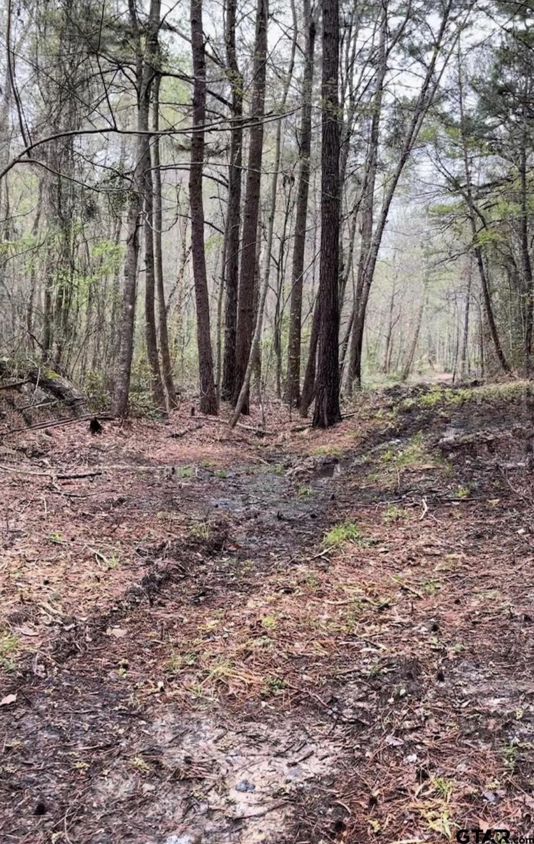 17.47 acres in Smith County - photo 3