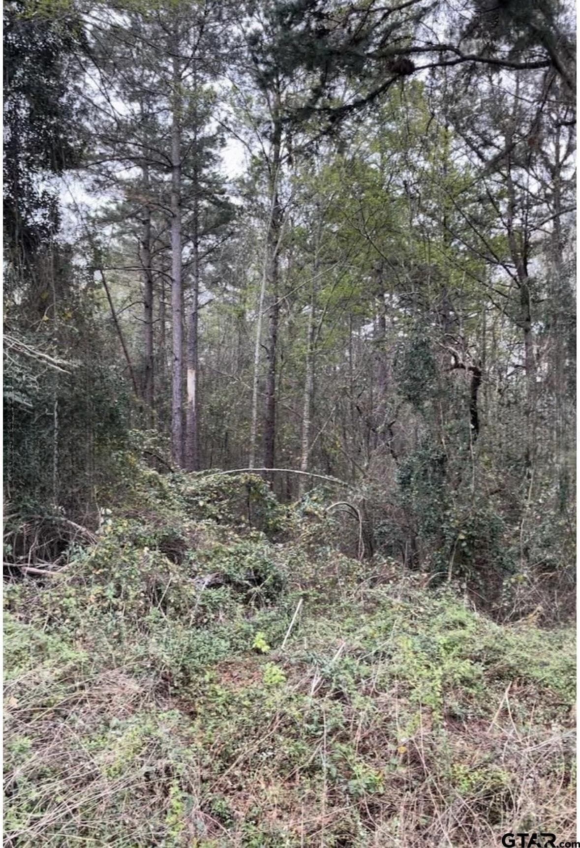 17.47 acres in Smith County - photo 4