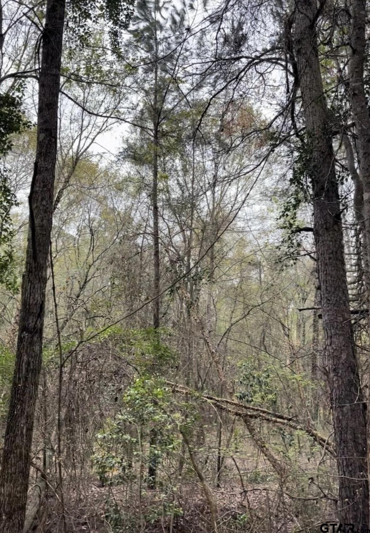 17.47 acres in Smith County - photo 6
