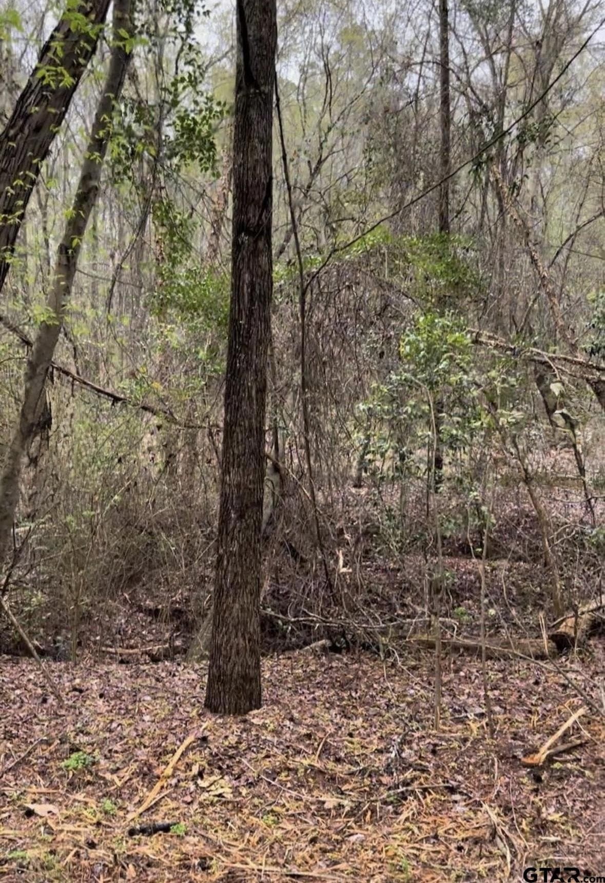 17.47 acres in Smith County - photo 7