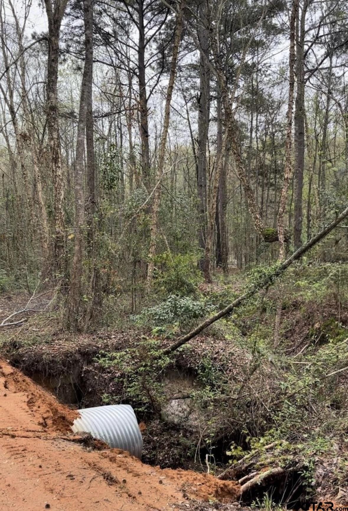 17.47 acres in Smith County - photo 5