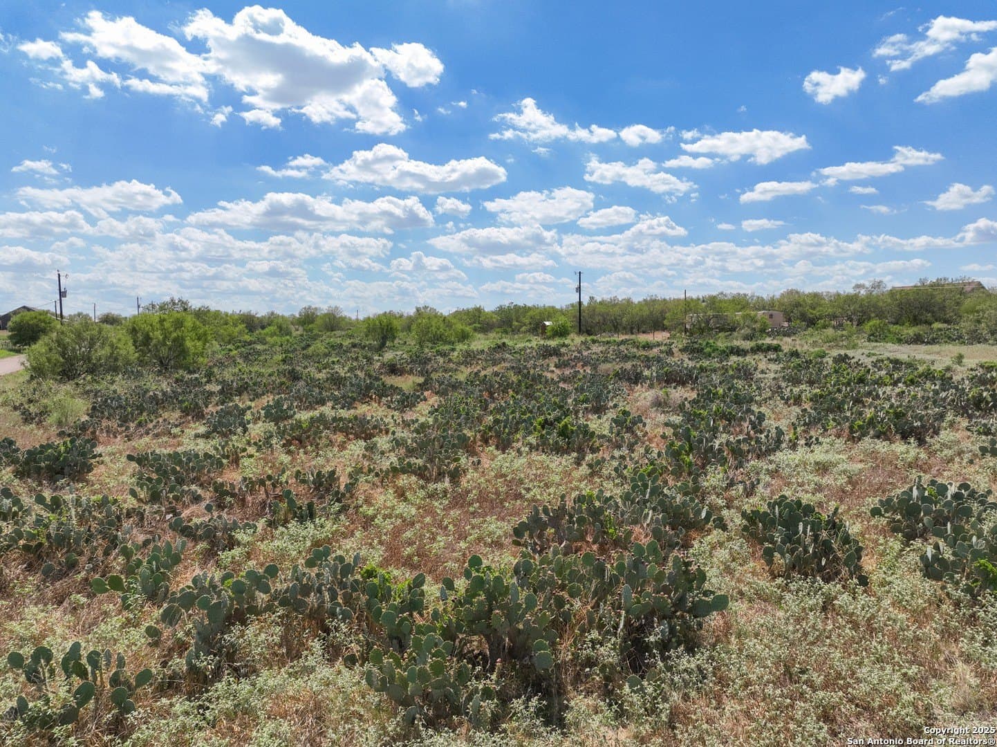 4.59 acres in Frio County - photo 5