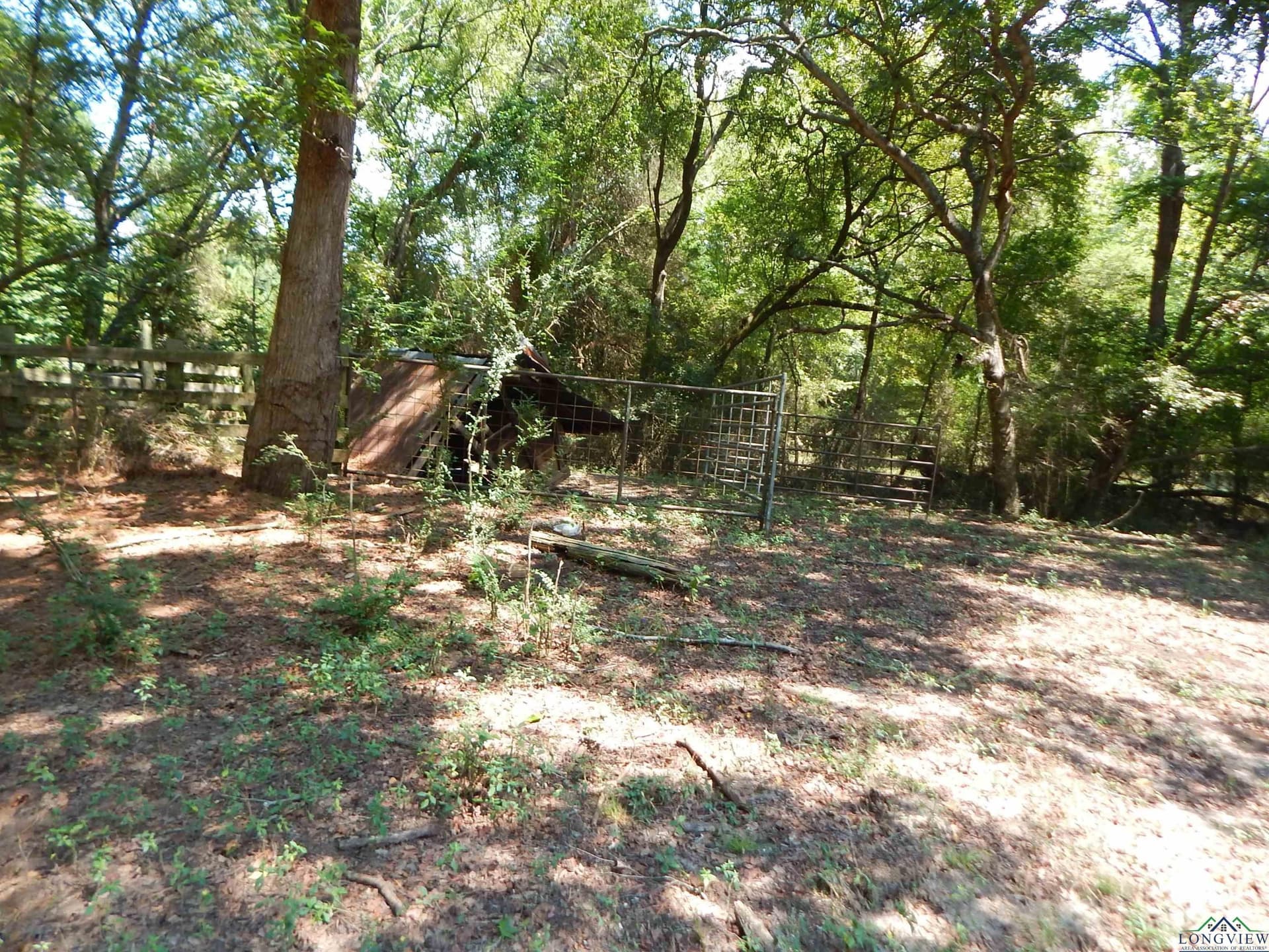 45 acres in Upshur County - photo 8