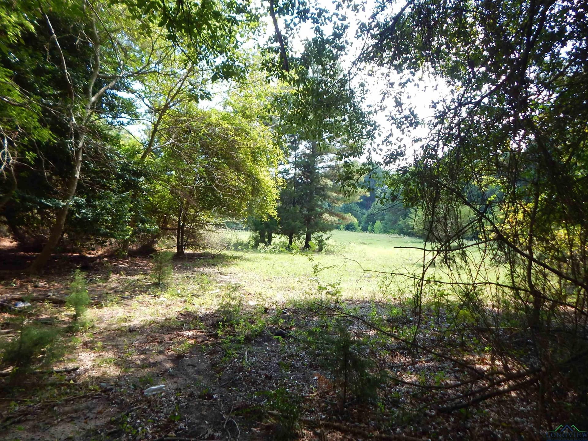 45 acres in Upshur County - photo 4