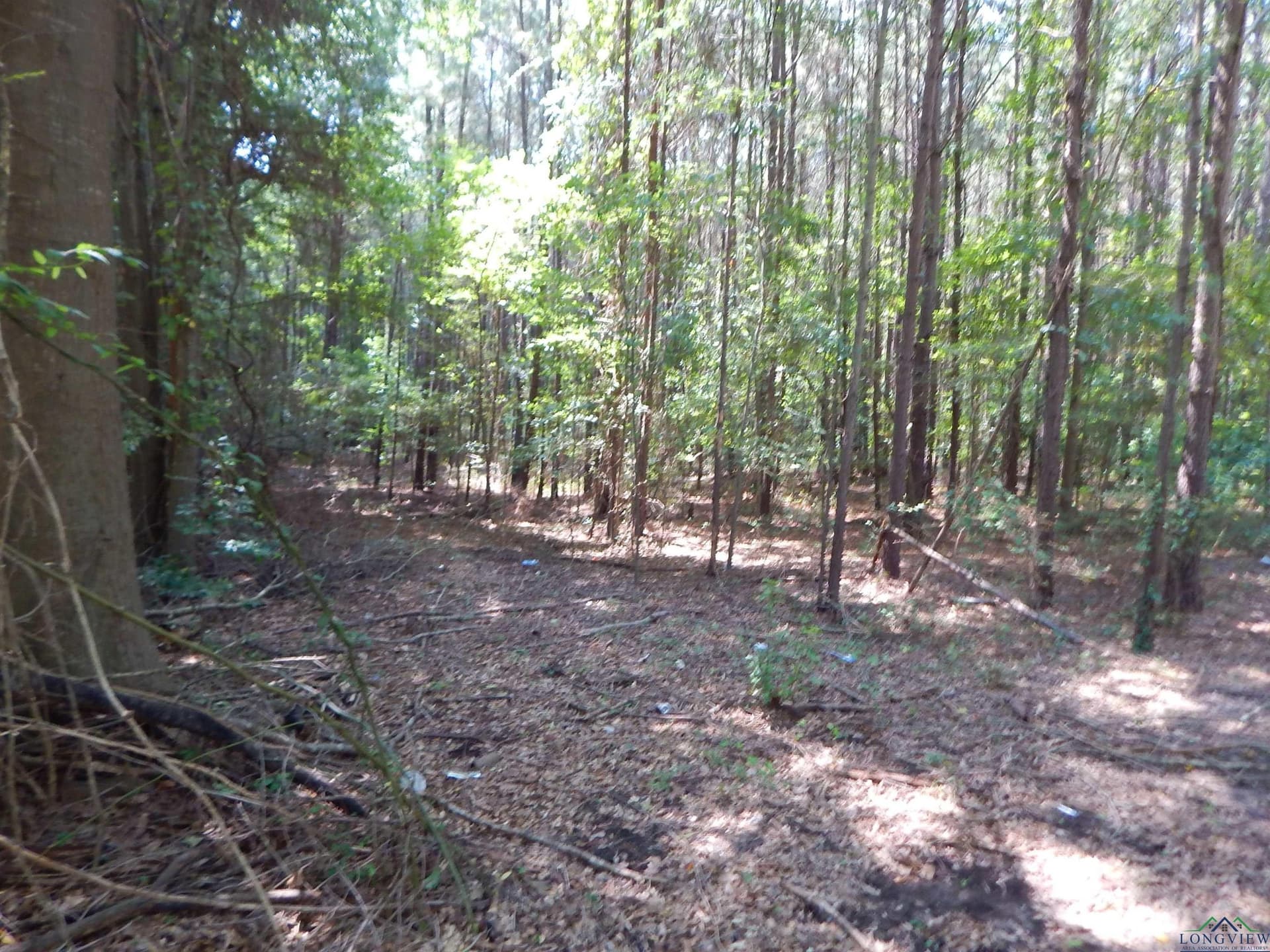45 acres in Upshur County - photo 5