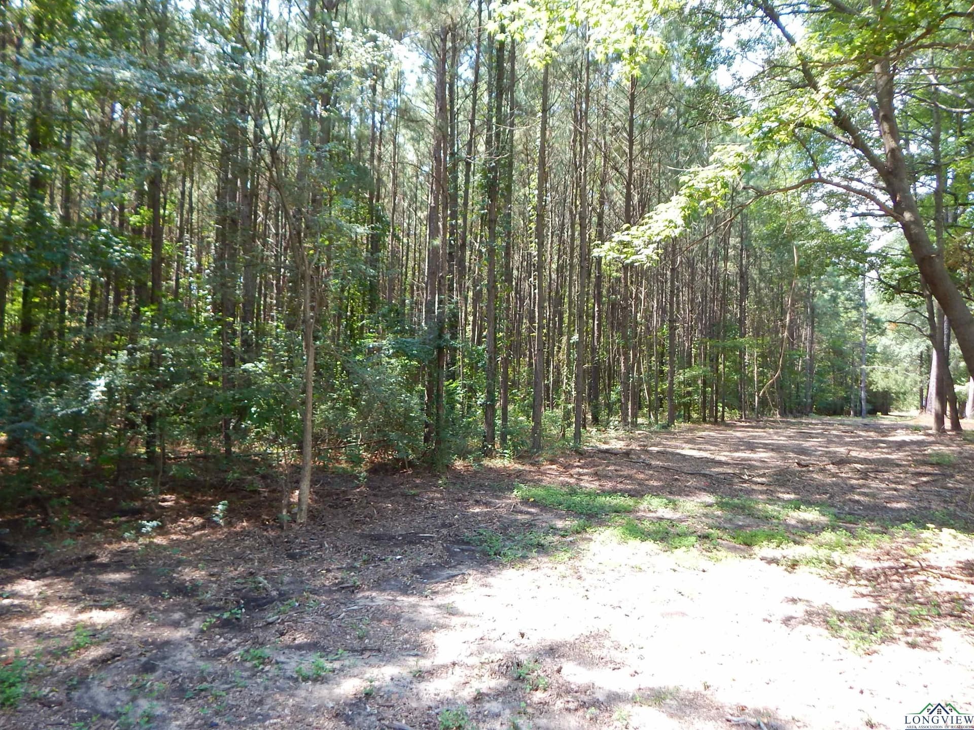 45 acres in Upshur County - photo 6