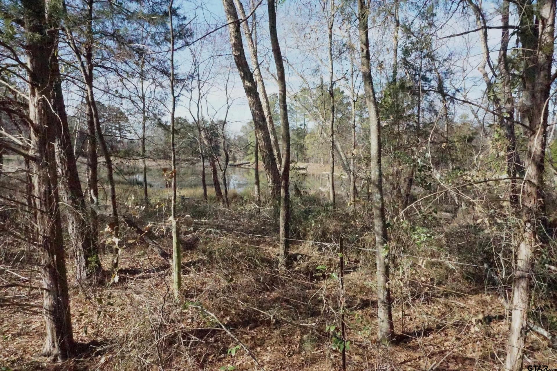 40 acres in Upshur County - photo 21