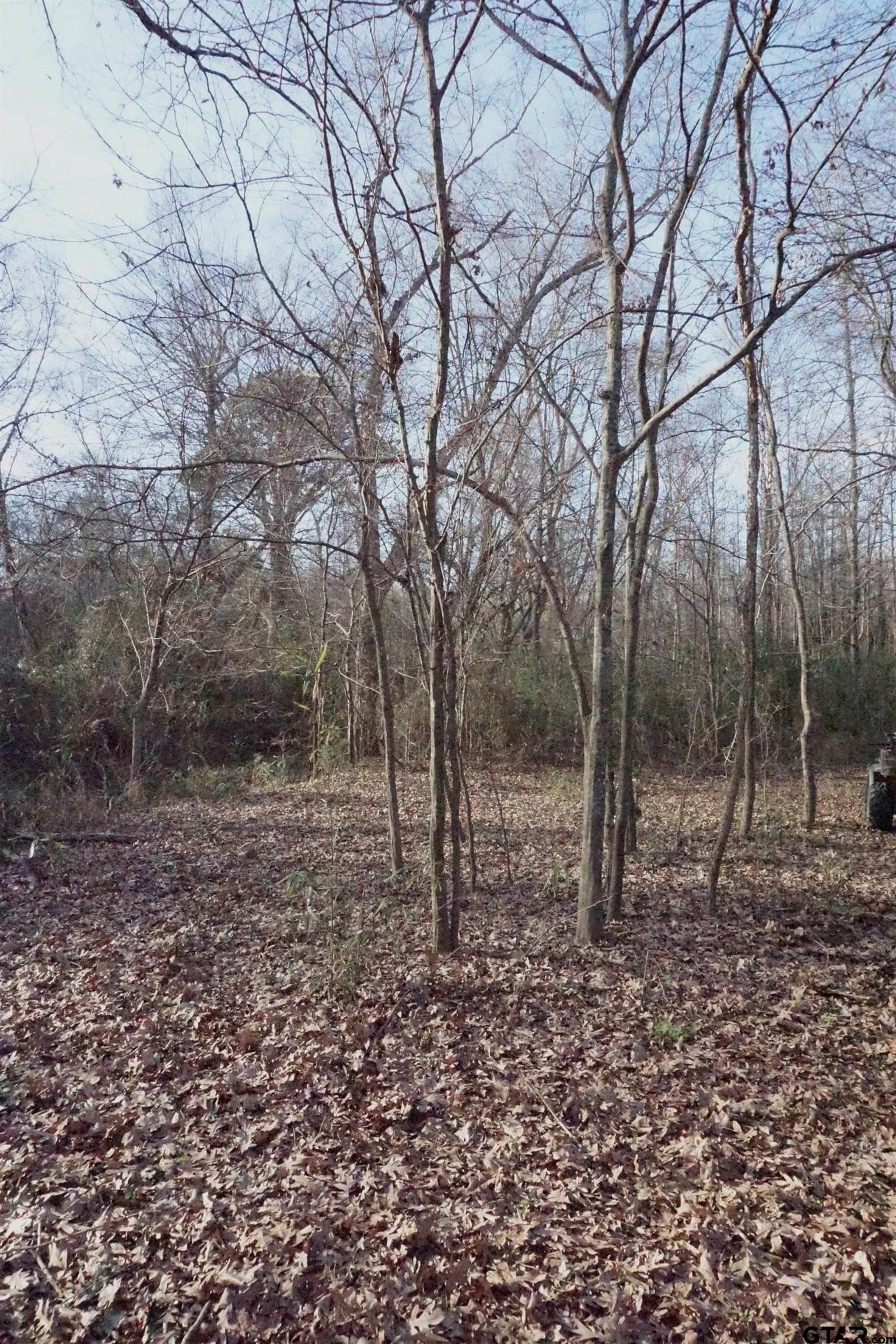 40 acres in Upshur County - photo 18