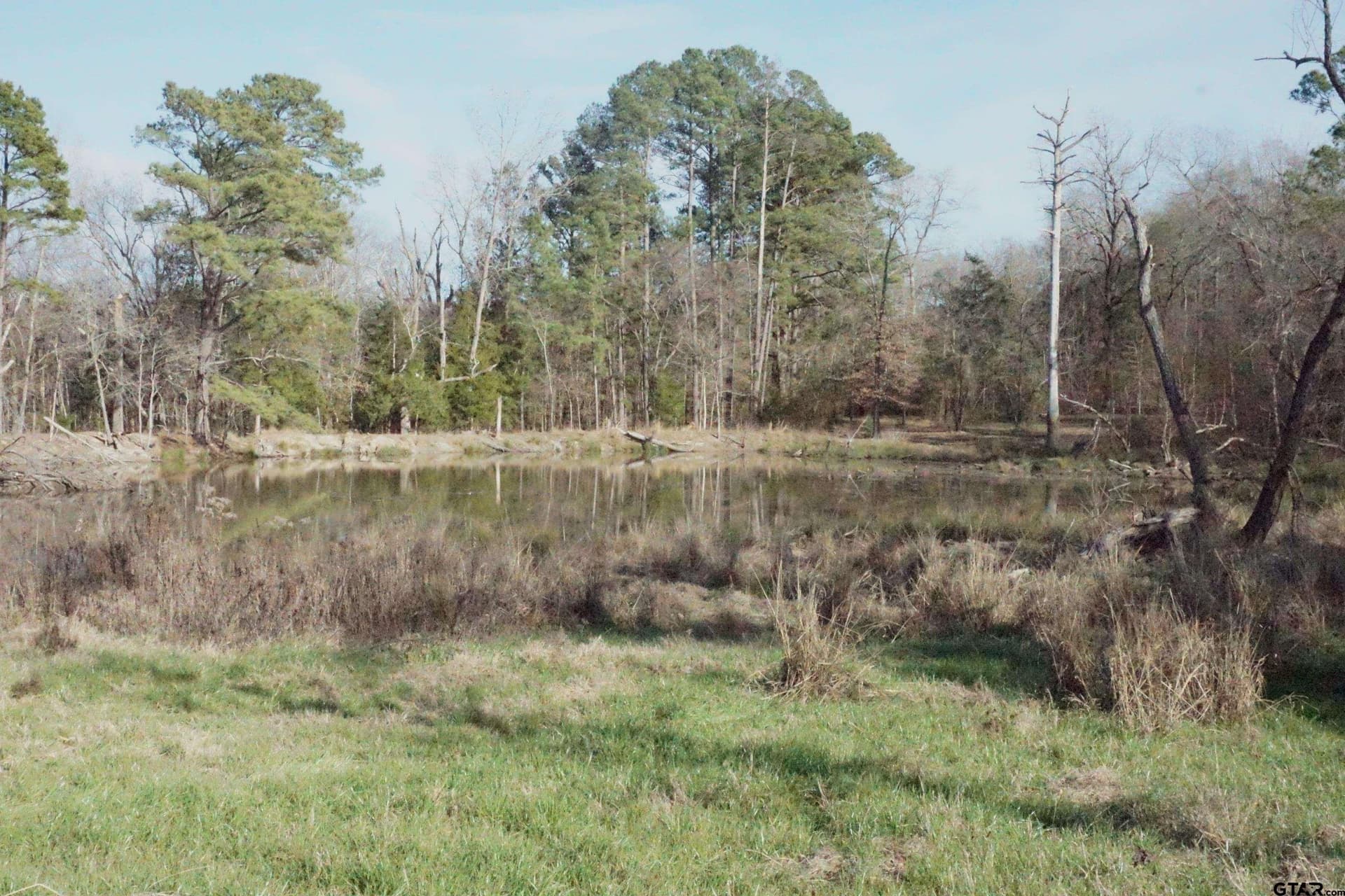 40 acres in Upshur County - photo 14