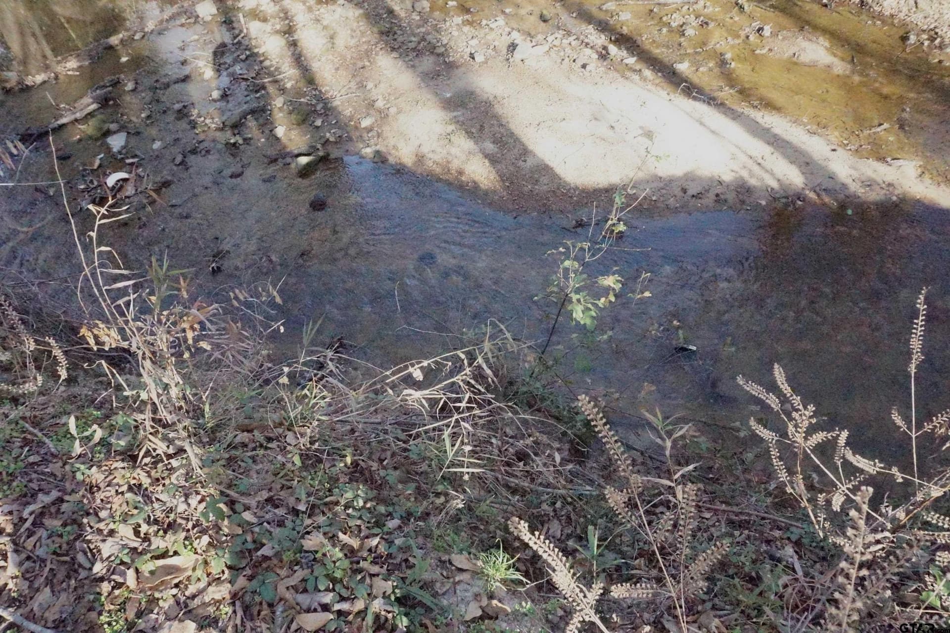 40 acres in Upshur County - photo 19