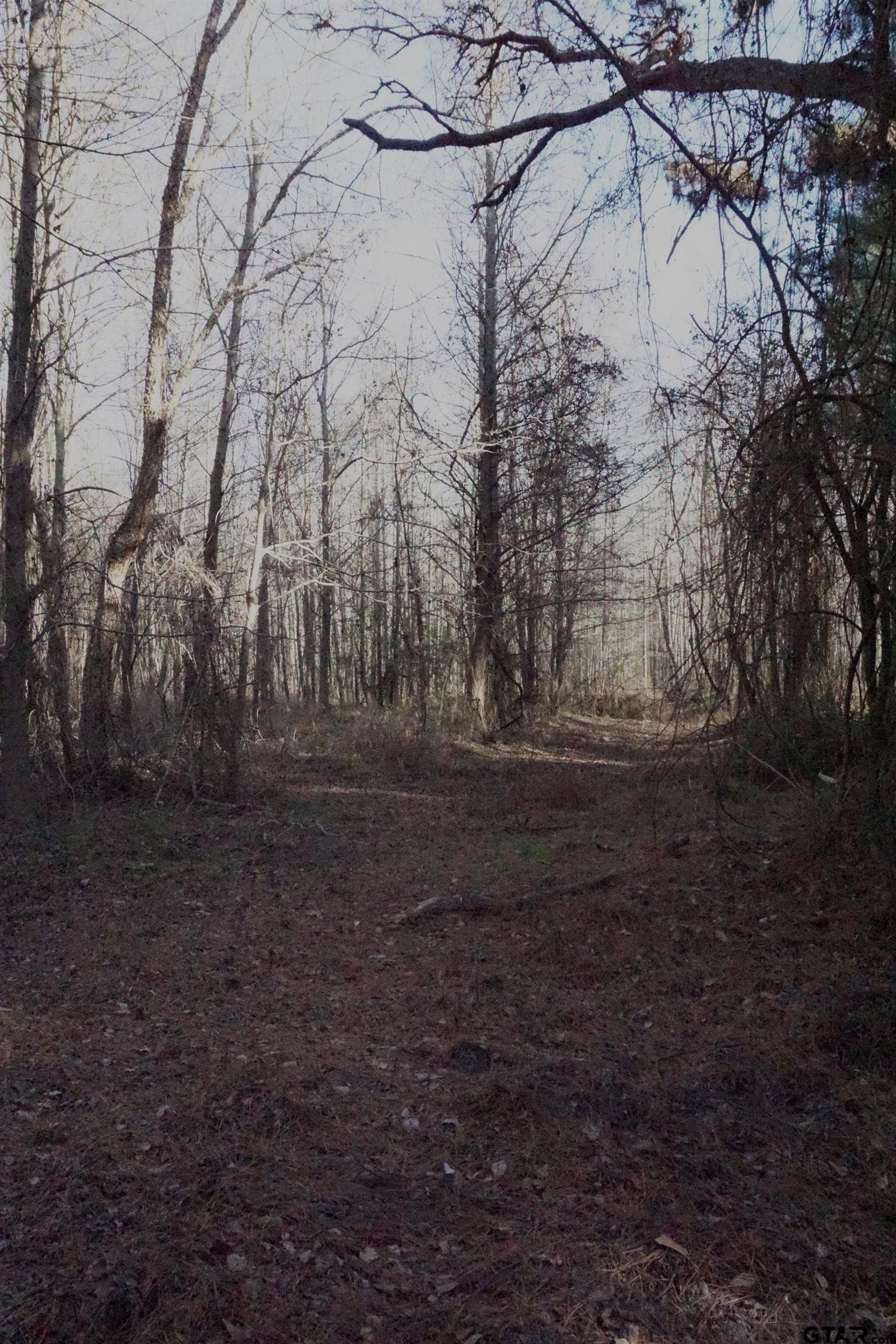 40 acres in Upshur County - photo 11