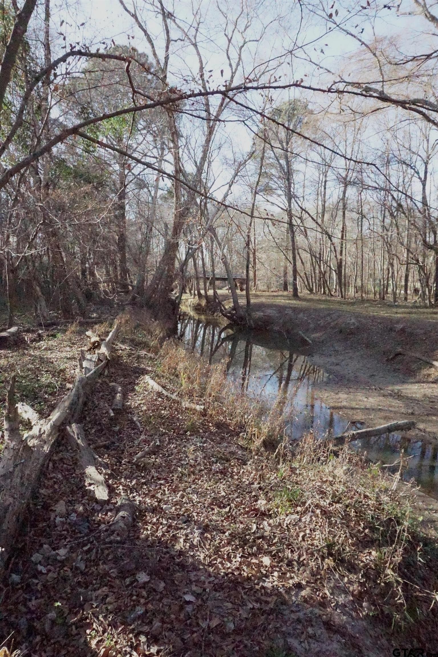 40 acres in Upshur County - photo 10