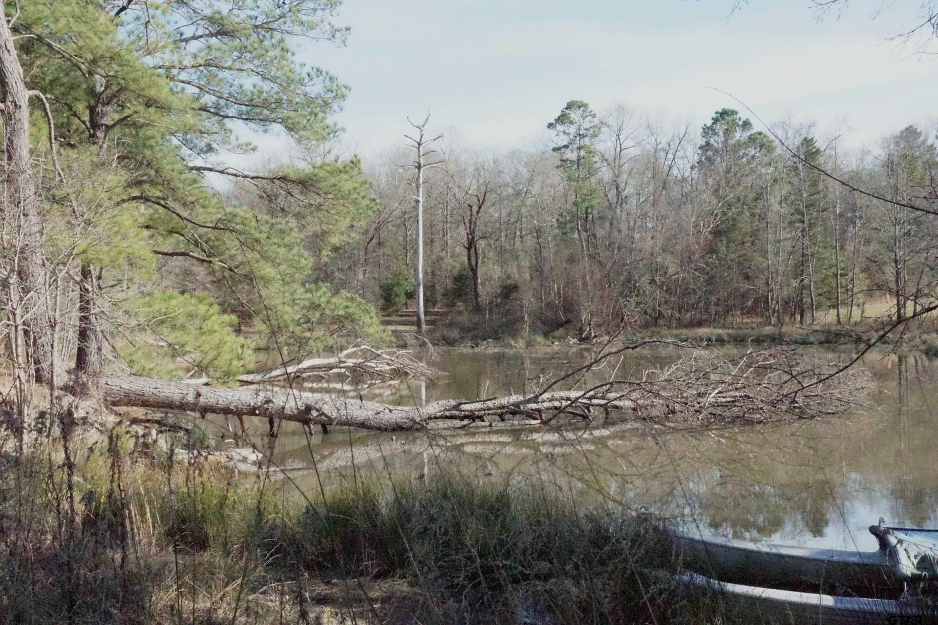 40 acres in Upshur County - photo 12