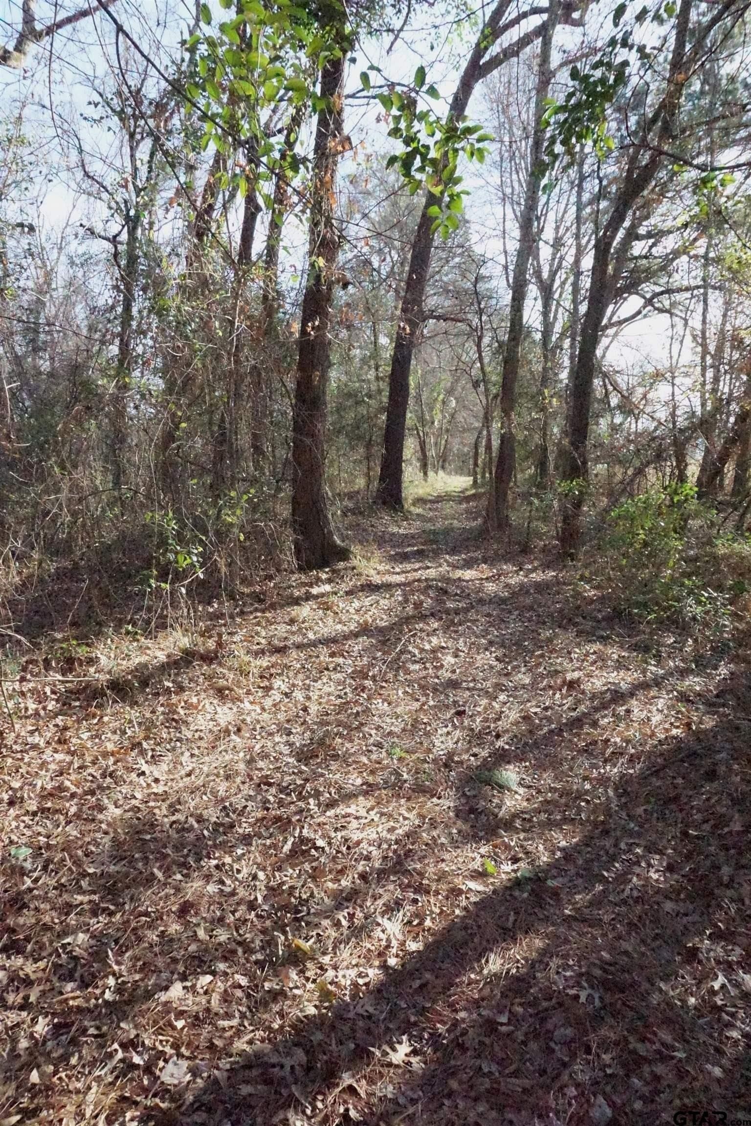 40 acres in Upshur County - photo 20