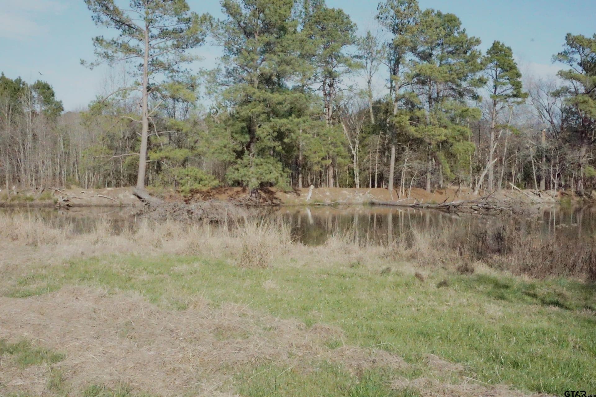 40 acres in Upshur County - photo 15