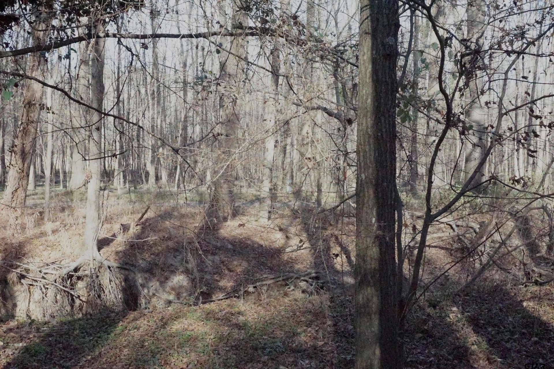 40 acres in Upshur County - photo 8