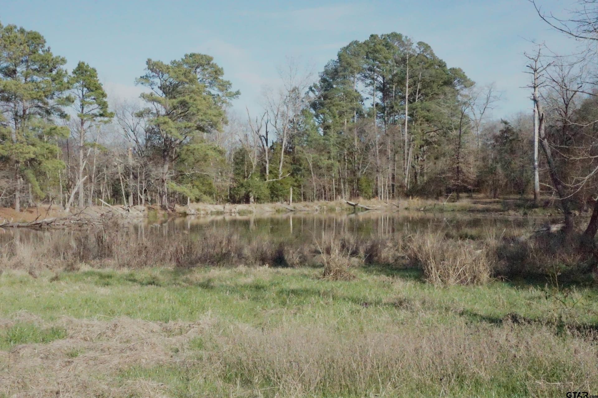 40 acres in Upshur County - photo 17