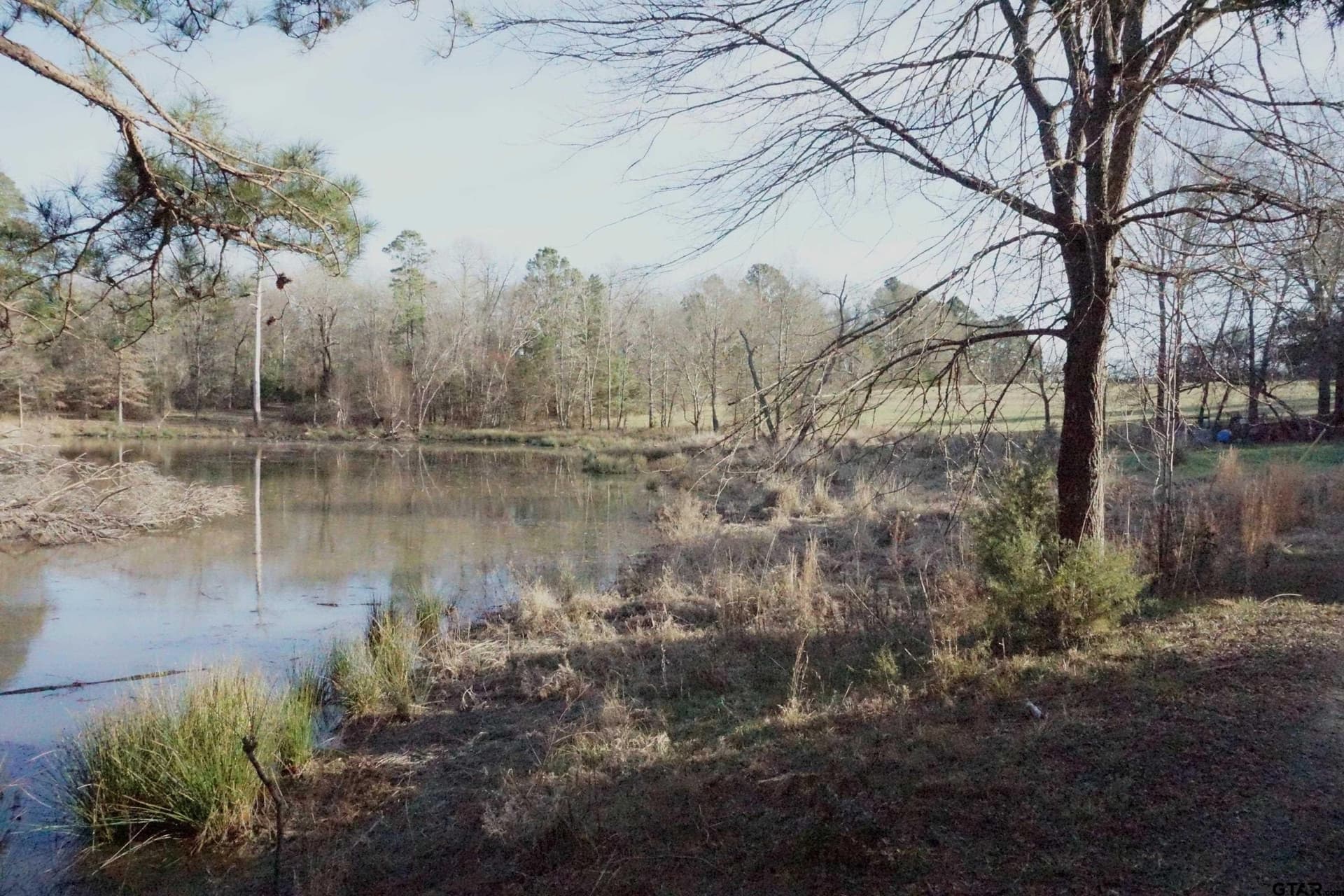 40 acres in Upshur County - photo 6