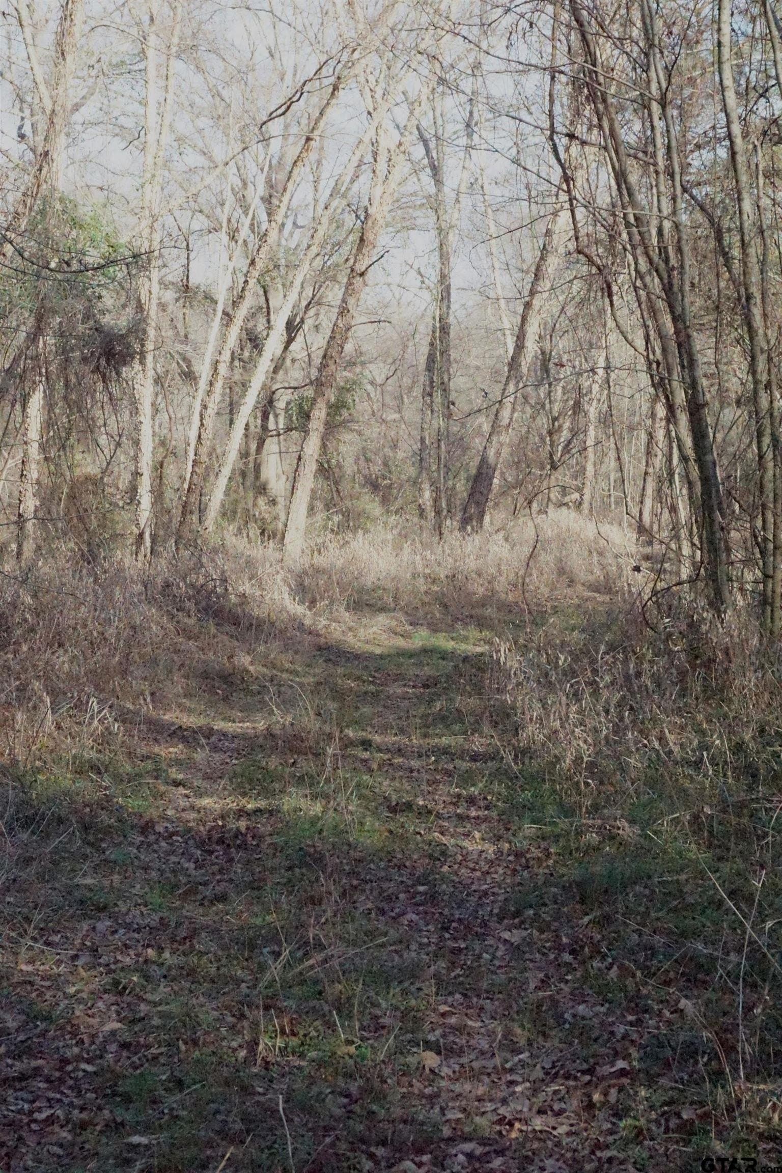40 acres in Upshur County - photo 9