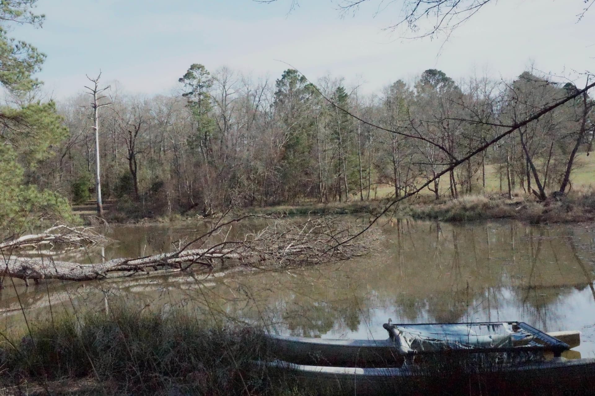40 acres in Upshur County - photo 13