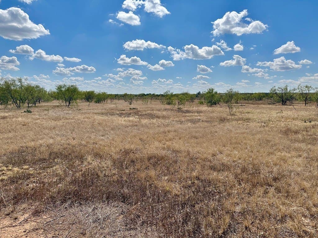 22 acres in Nolan County - photo 4