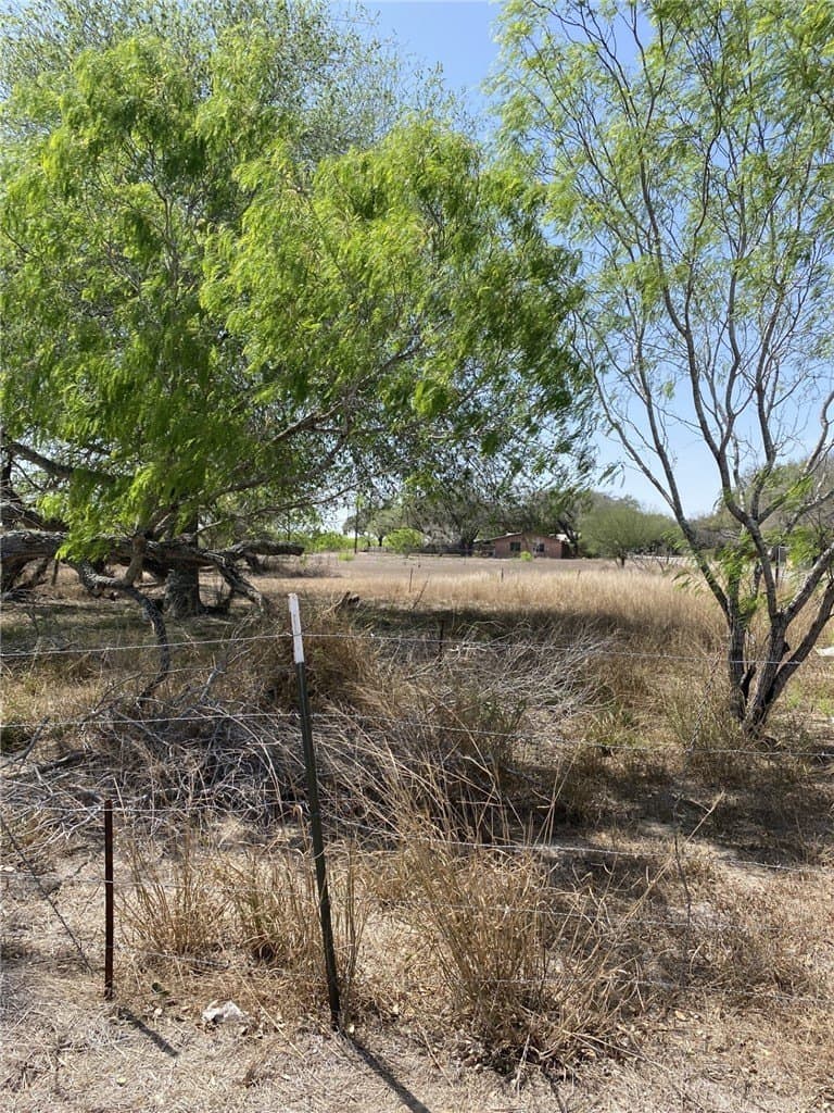 0.49 acres in Jim Wells County - photo 5