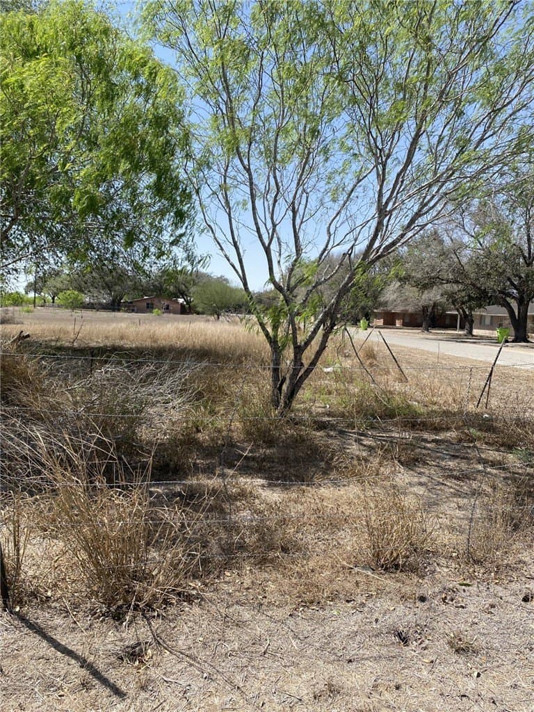 0.49 acres in Jim Wells County - photo 6