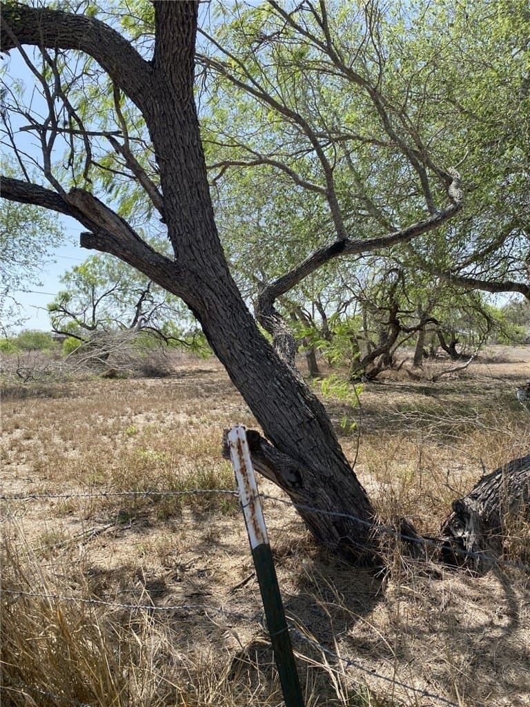 0.49 acres in Jim Wells County - photo 4