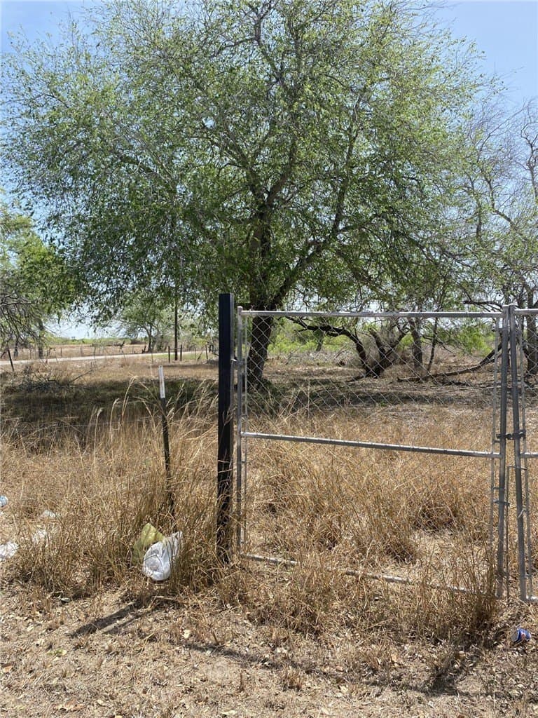 0.49 acres in Jim Wells County - photo 3