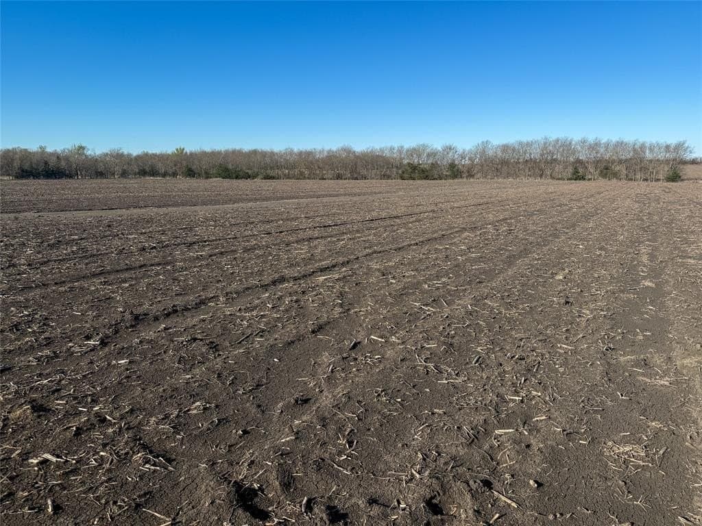 47.12 acres in Delta County - photo 8