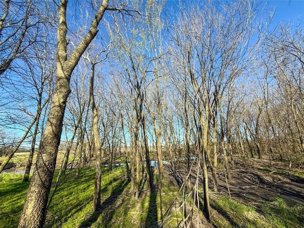 47.12 acres in Delta County - photo 12