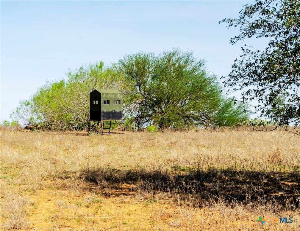 42 acres in Wilson County - photo 8