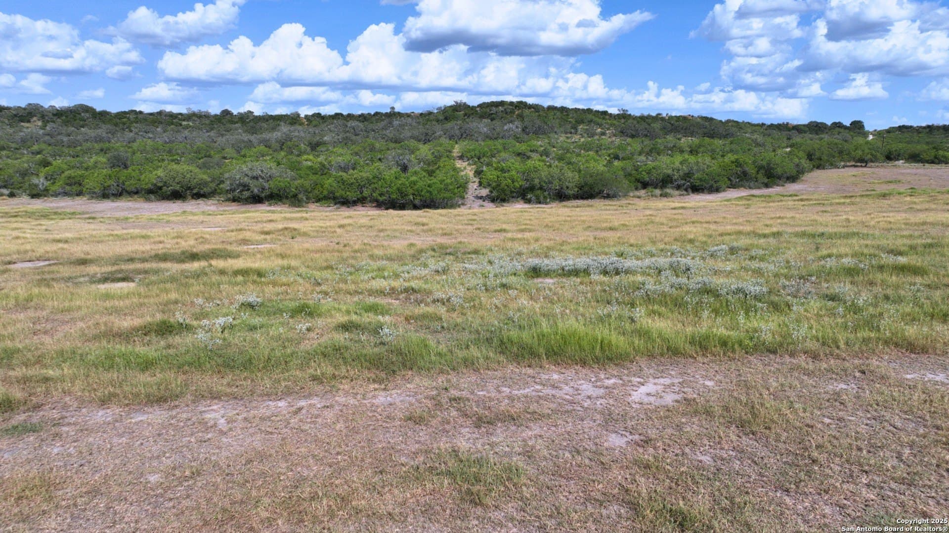 32 acres in Karnes County - photo 25