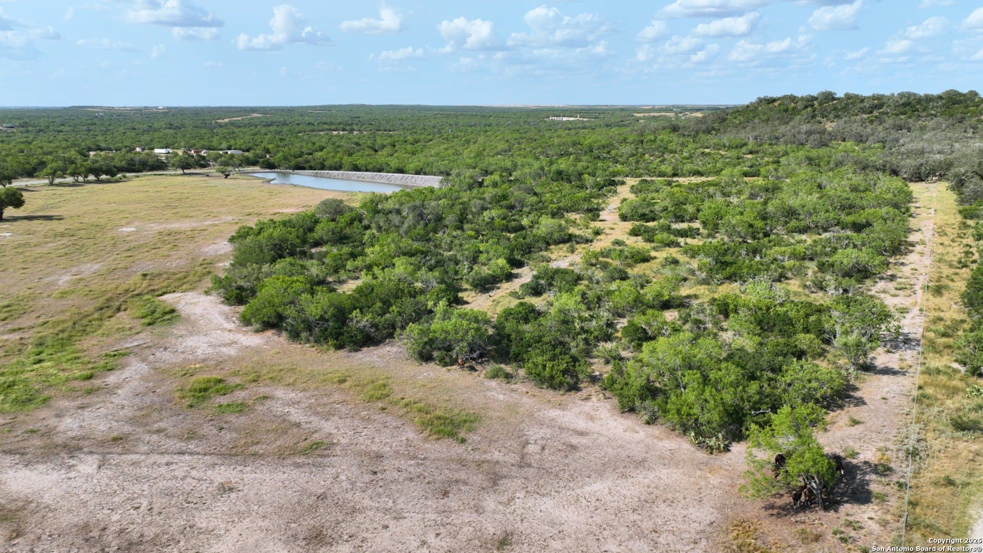 32 acres in Karnes County - photo 5