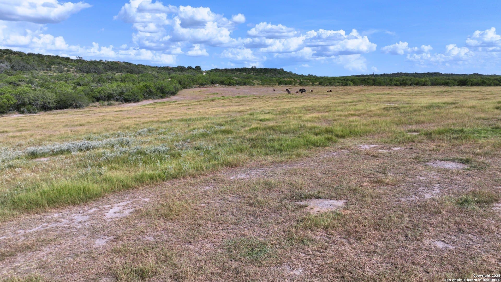 32 acres in Karnes County - photo 24
