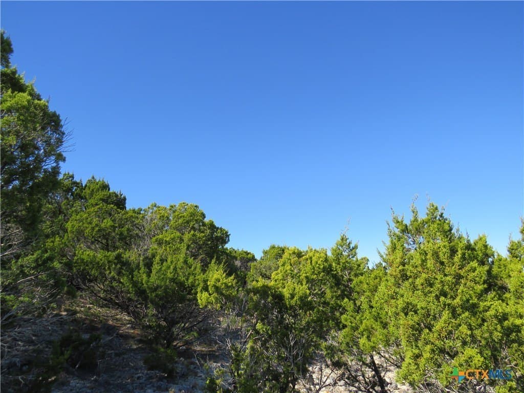 6.33 acres in Coryell County - photo 5