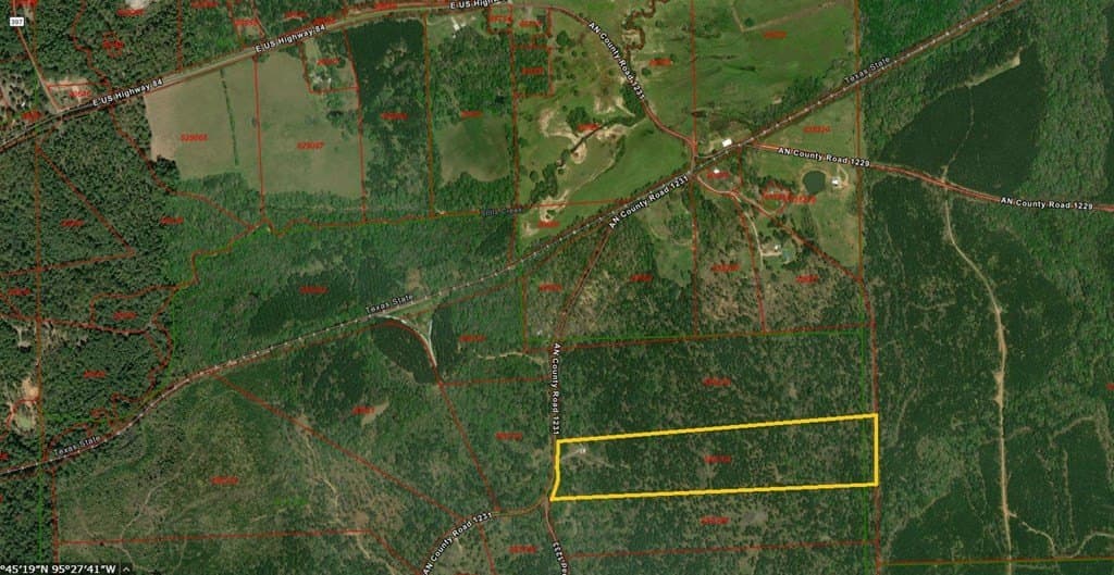 40 acres in ANDERSON County - photo 17