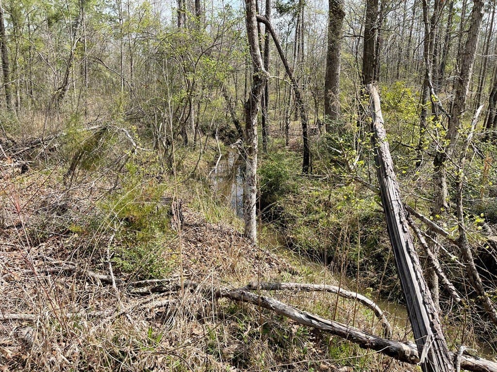 40 acres in ANDERSON County - photo 8