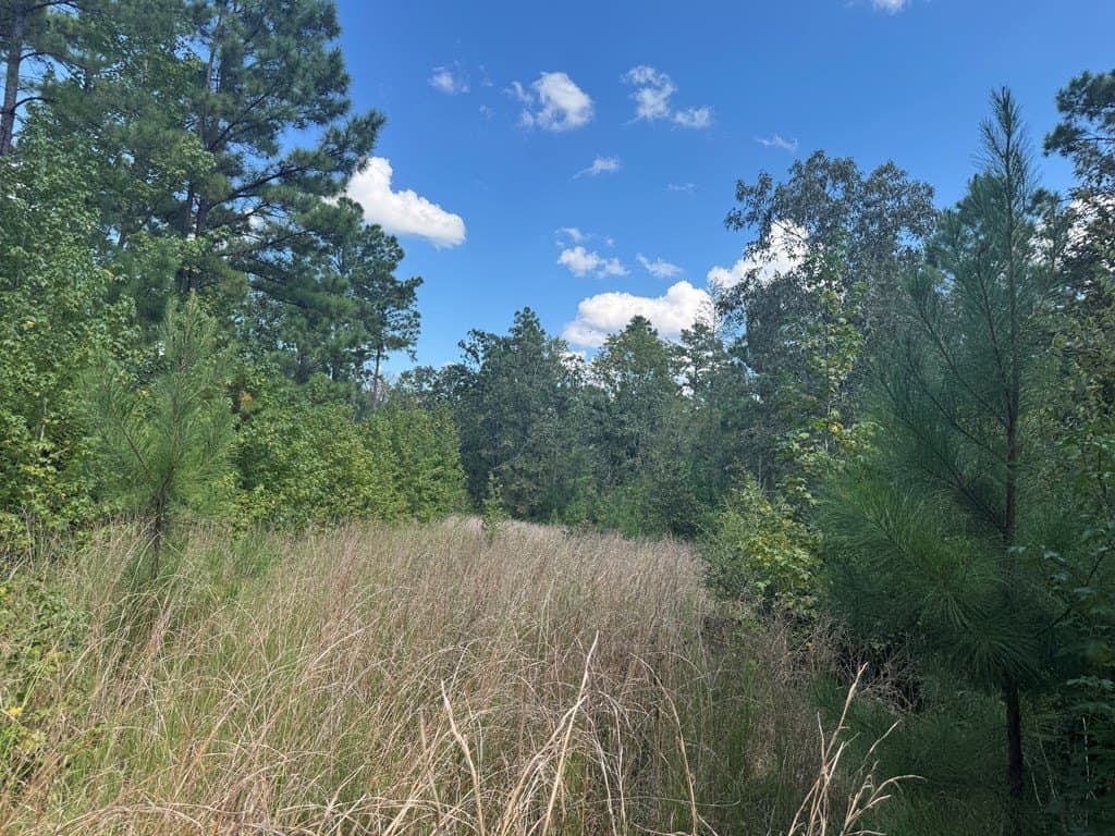 40 acres in ANDERSON County - photo 3