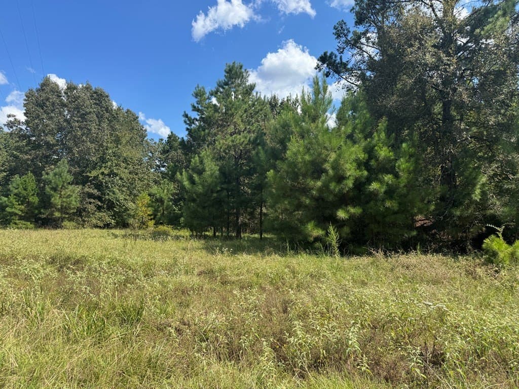 40 acres in ANDERSON County - photo 14
