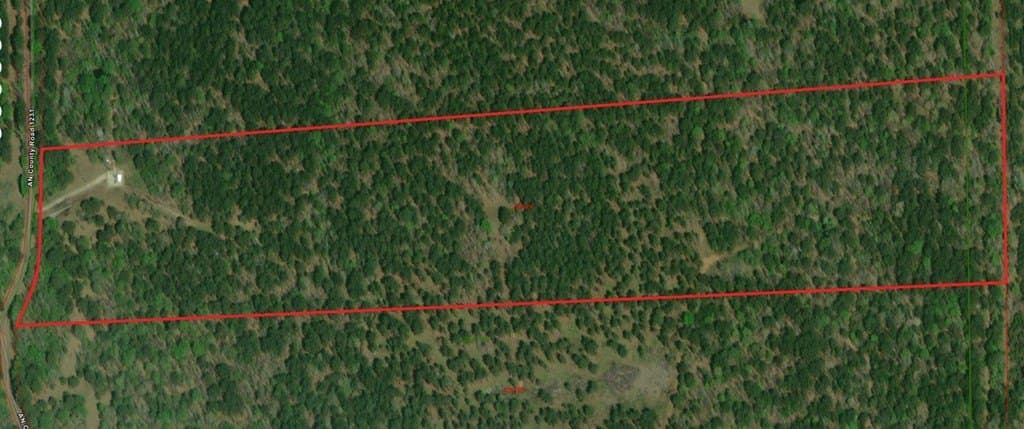 40 acres in ANDERSON County - photo 16