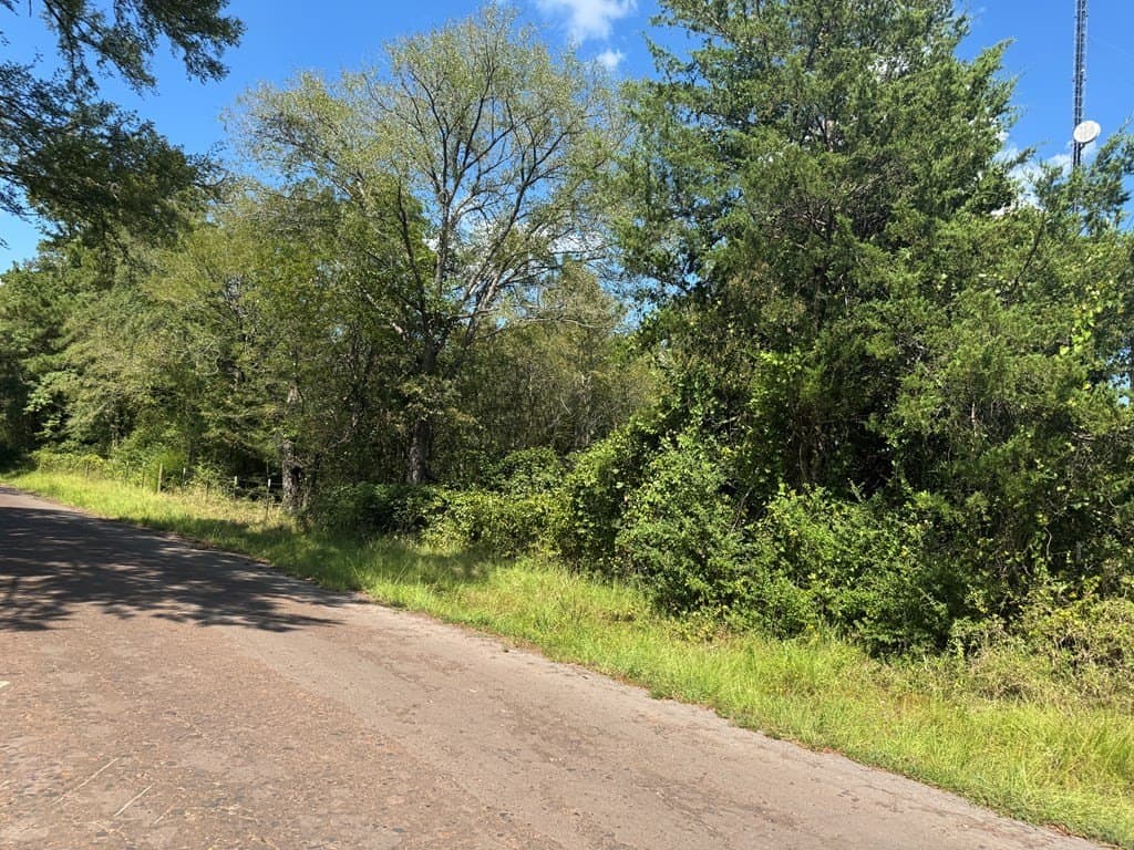 40 acres in ANDERSON County - photo 5