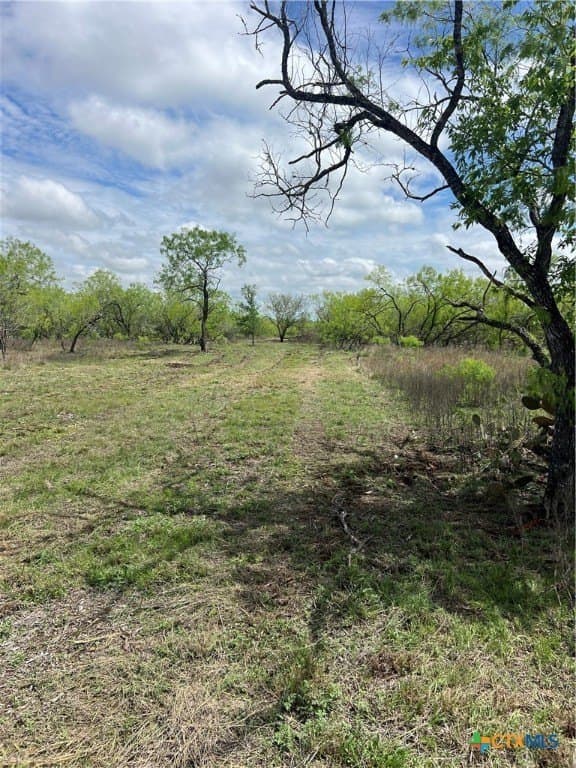 50.01 acres in Gonzales County - photo 3