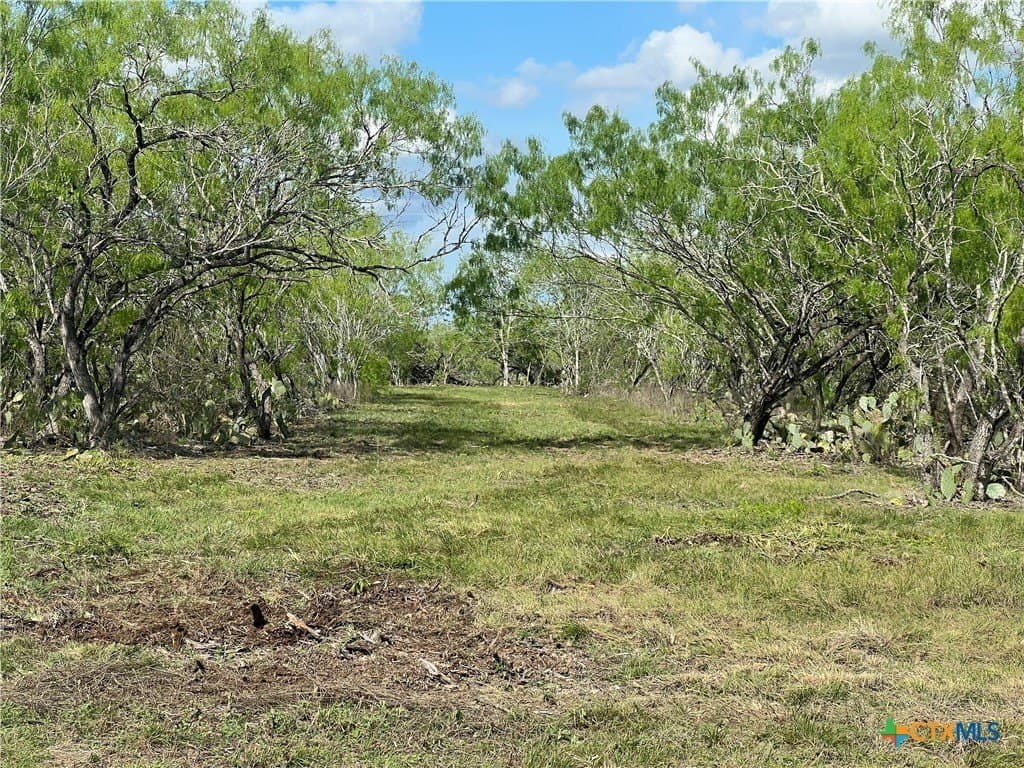50.01 acres in Gonzales County - photo 5