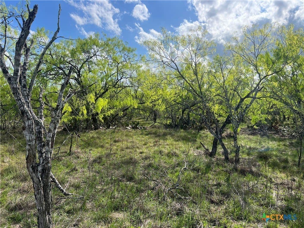 50.01 acres in Gonzales County - photo 4