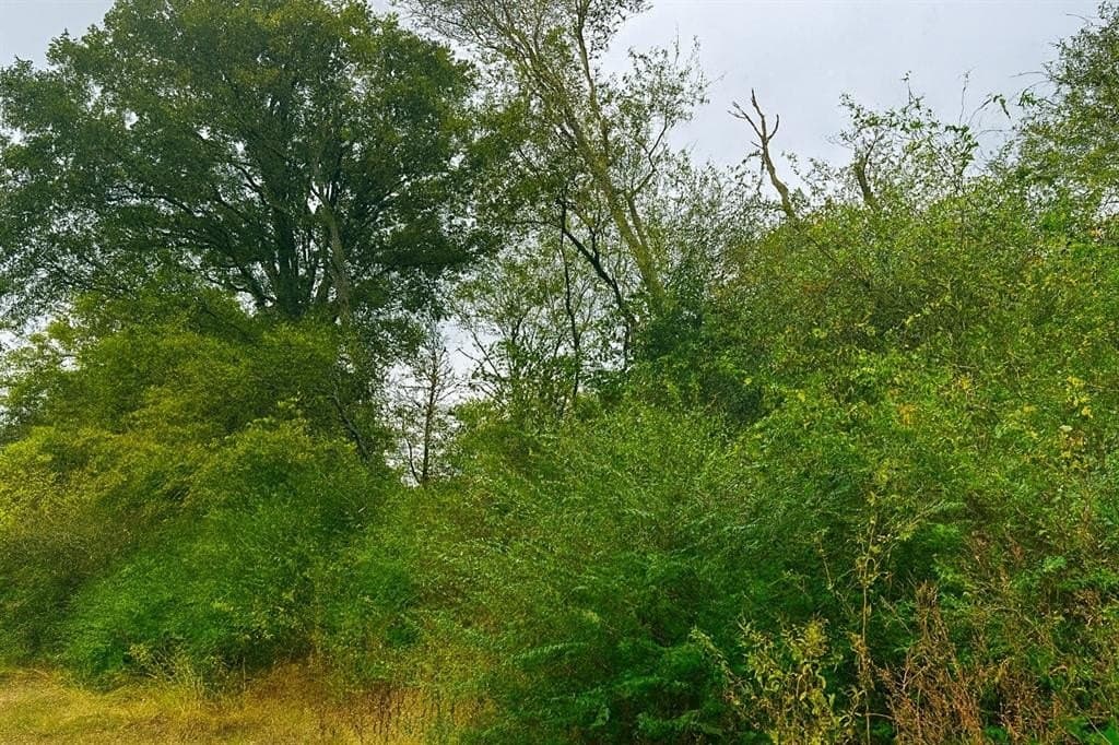 20.83 acres in Van Zandt County - photo 5