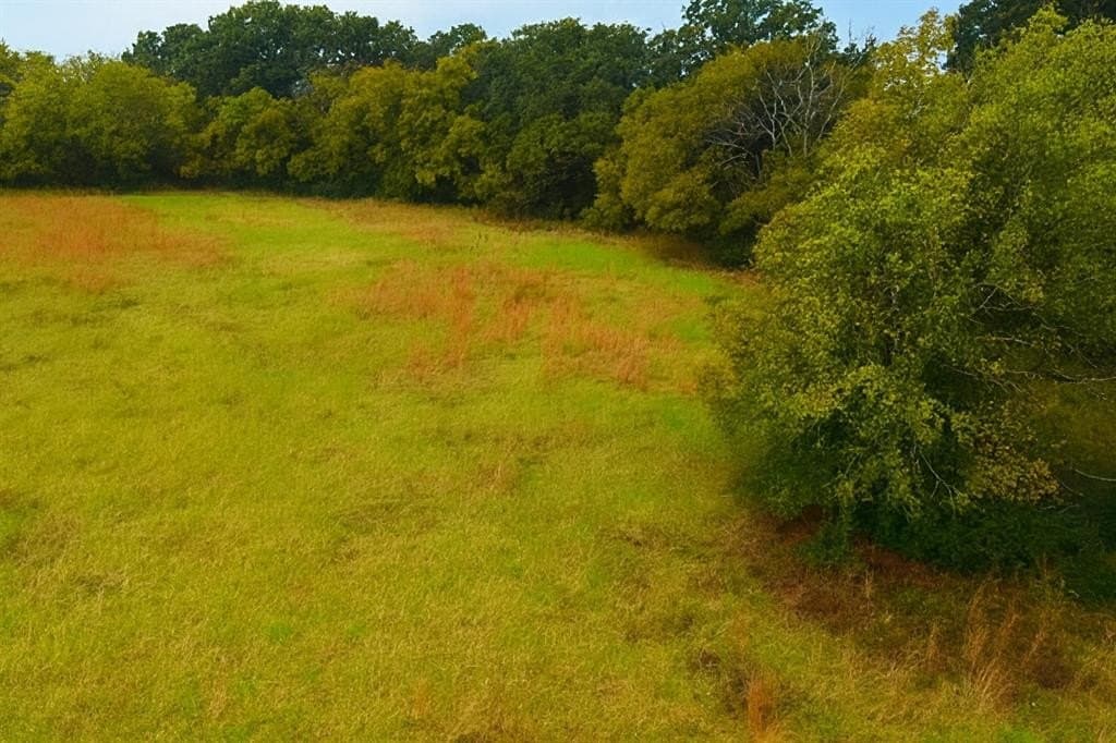 20.83 acres in Van Zandt County - photo 4