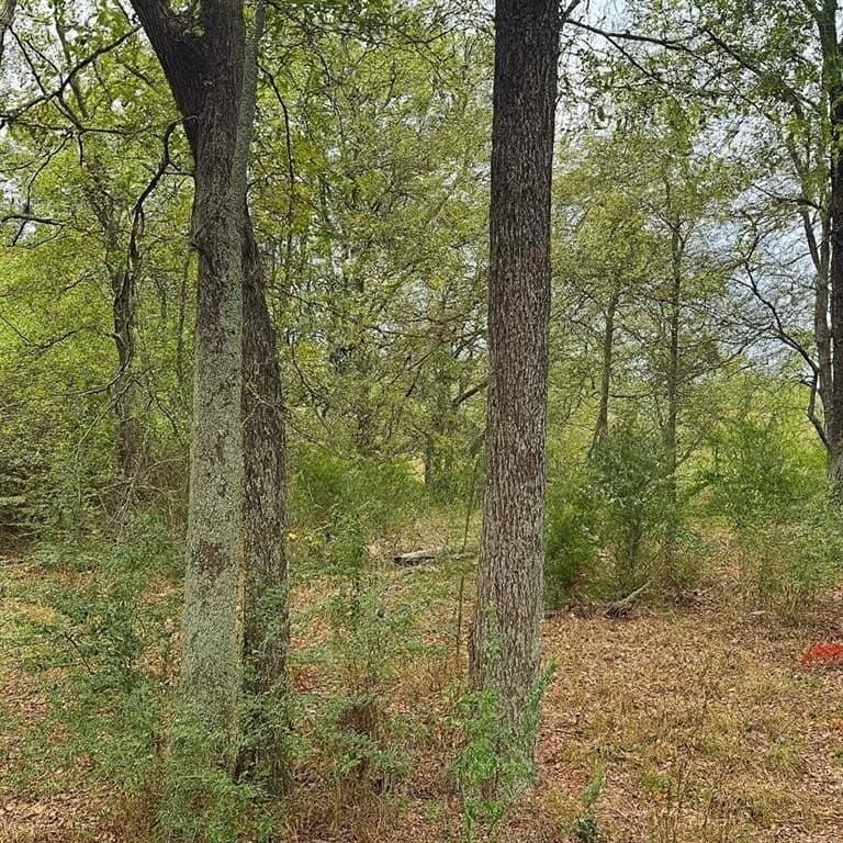20.83 acres in Van Zandt County - photo 3