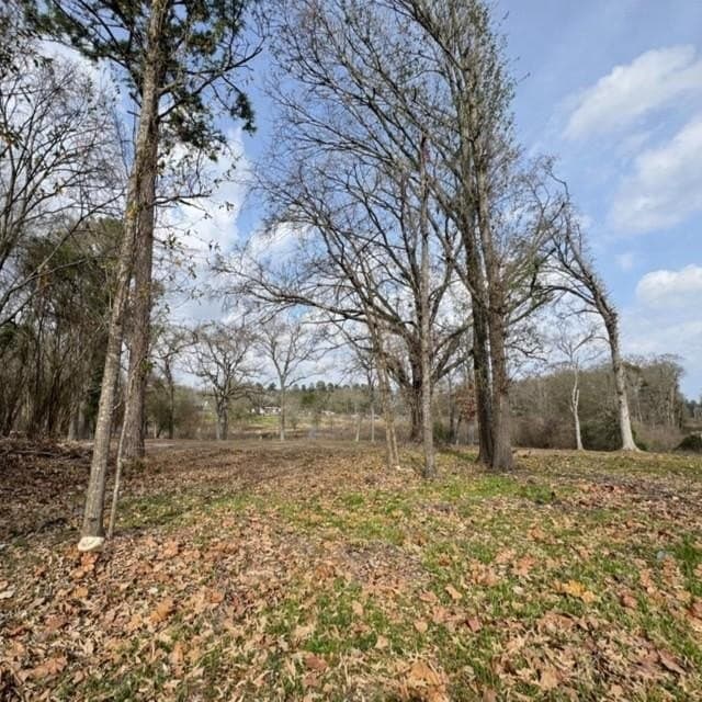 0.36 acres in Henderson County - photo 2